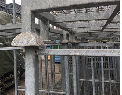 Pedane pallet o strutture sovrapponibili e con sponde - Foto 4