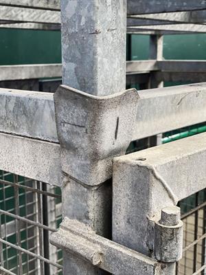 Foto - 9