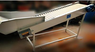 LINEA LAVORAZIONE FICHI D'INDIA - Foto 2